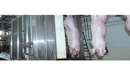 預(yù)清洗機(jī)