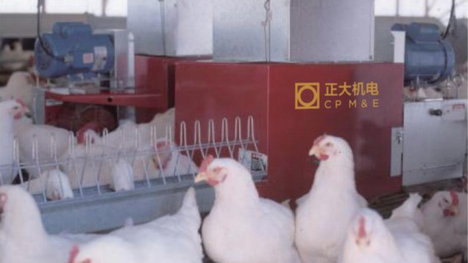 母雞鏈?zhǔn)轿沽?>
													</div>
                                                    
												</div>
                                                												
									
								</div>
								<div   id=