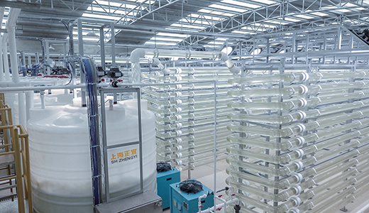 光反應器培藻設備