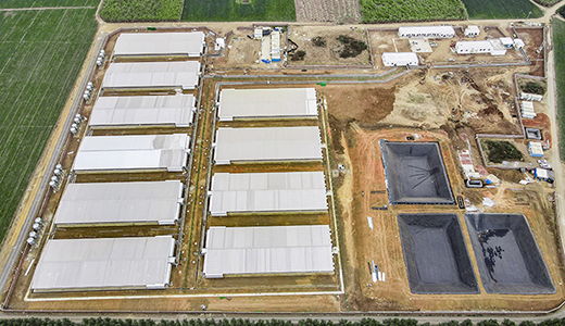 湛江北坡三合14000育肥五場(chǎng)